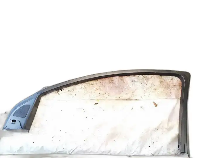 Audi Q7 4L (2005 - 2009) Прочая отделка передней двери — фото 1