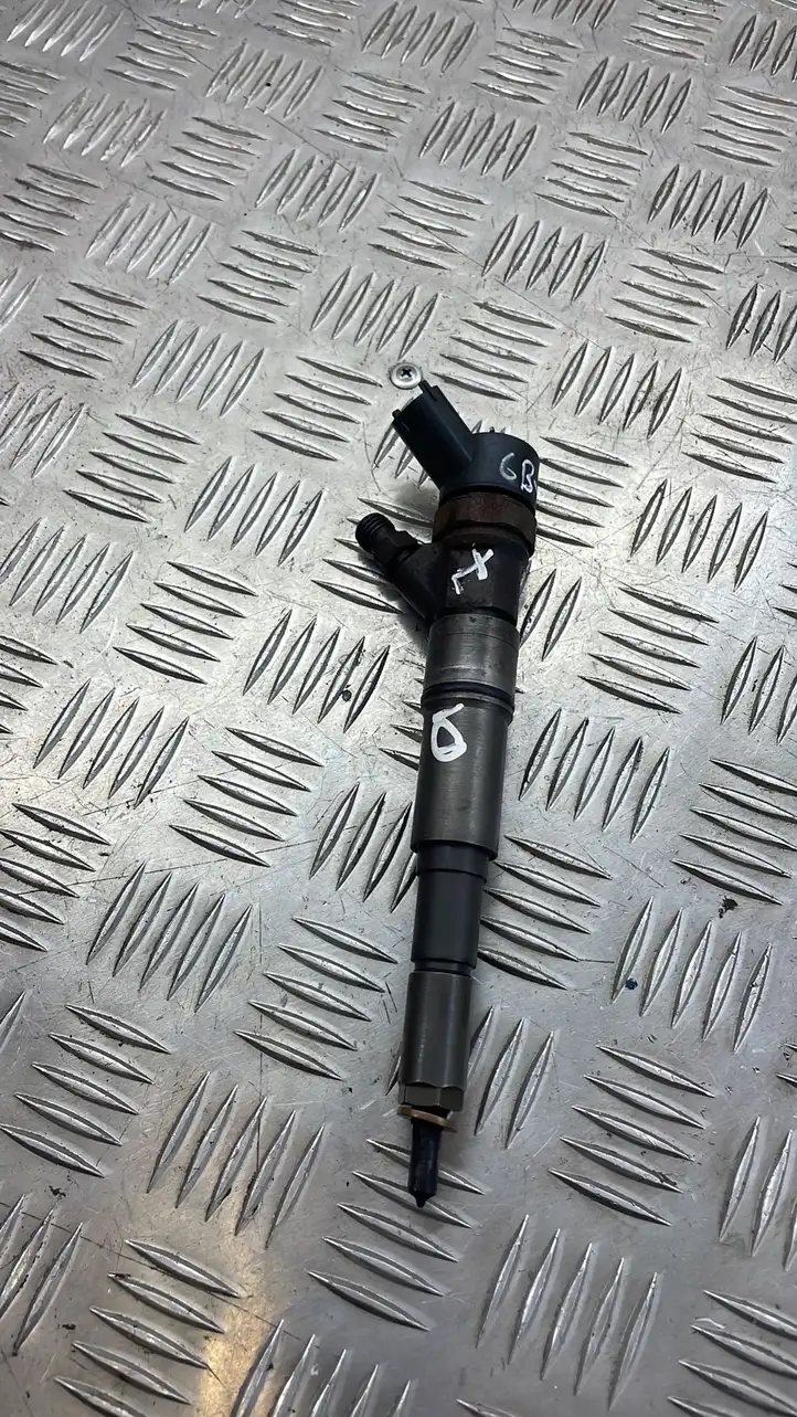 Land Rover Freelander (2006 - 2010)  7785983 Жиклер (жиклеры) (форсунка (форсунки)