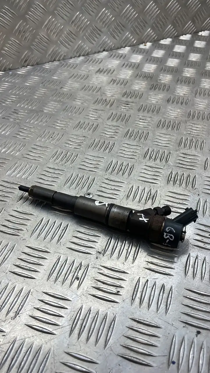 Land Rover Freelander (2006 - 2010)  7785983 Жиклер (жиклеры) (форсунка (форсунки)