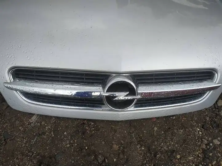 Opel Signum (2002 - 2008) Передняя решетка — фото 2