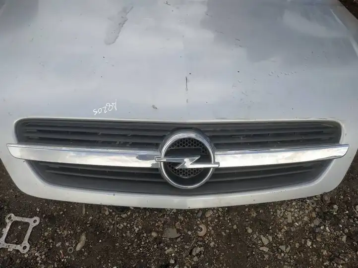 Opel Meriva A (2002 - 2006) Передняя решетка — фото 2