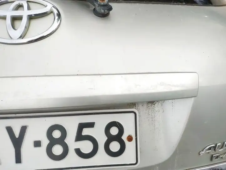 Toyota Auris 150 (2006 - 2012) Подсветка номера — фото 3