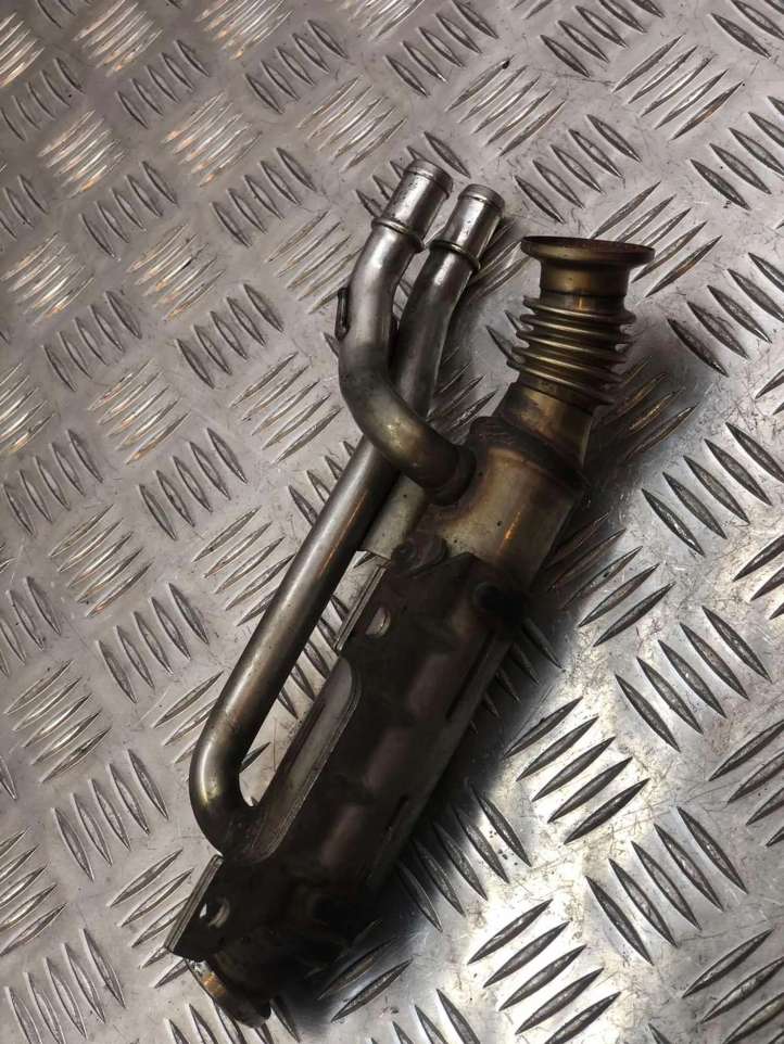 Renault Laguna (2005 - 2007)  H8200620695 Охладитель EGR