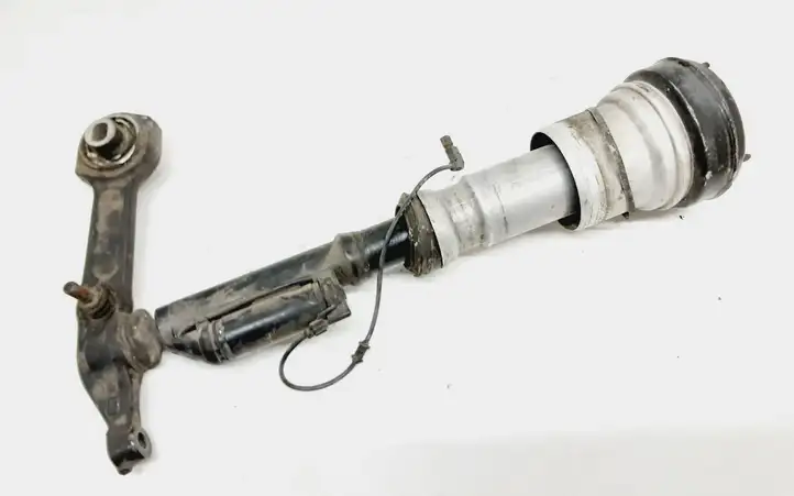 Mercedes-Benz S W220 (1998 - 2006) A2203201413 Передняя пневмостойка — фото 1