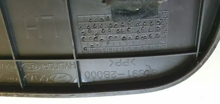 Hyundai Santa Fe (2009 - 2012) Внутренняя отделка заднего порога — фото 3