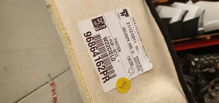 Peugeot 508 (2010 - 2014) Потолочная обшивка — фото 4