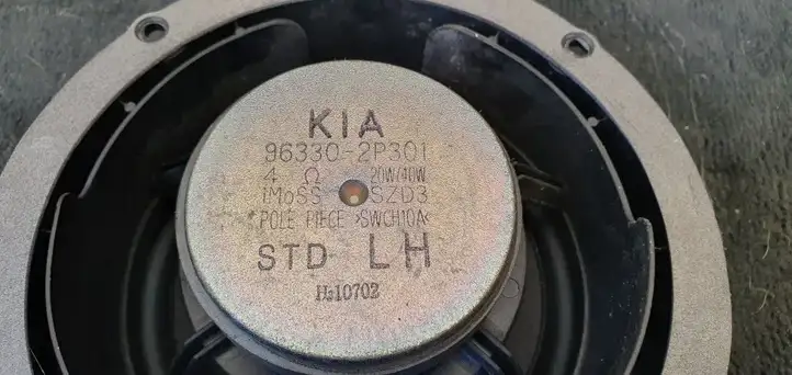 Kia Sorento (2009 - 2014) Твитер передней двери — фото 2