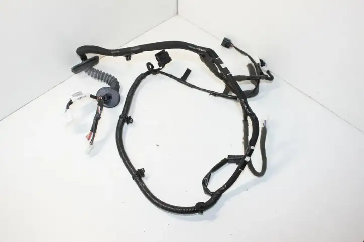 Nissan Qashqai (2013 - 2017) 241254EA1D Проводка передней двери — фото 3