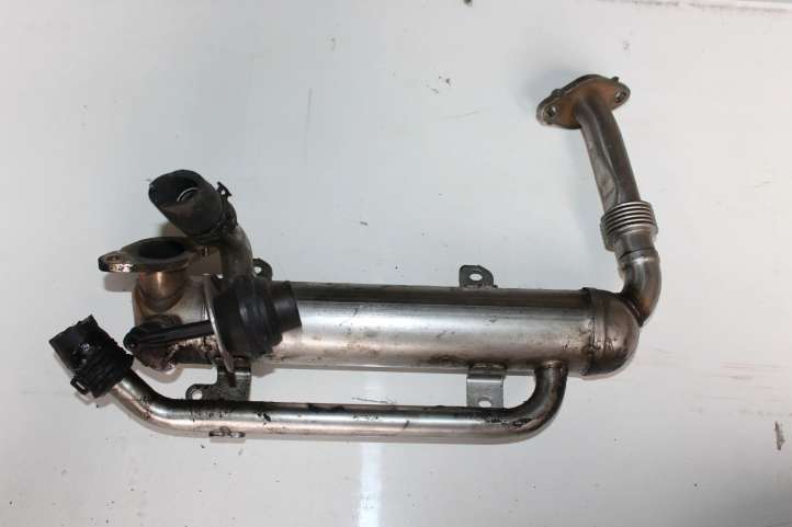 Volkswagen PASSAT B6 (2005 - 2010)  03G131512S Охладитель EGR