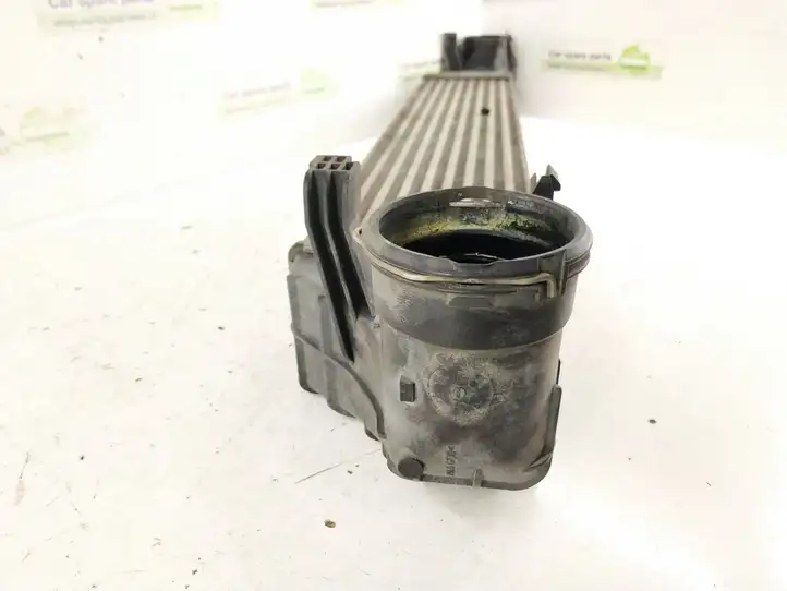 Mercedes-Benz C W203 (2000 - 2007) Интеркулер — фото 3