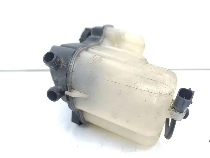 Volvo S80 (2006 - 2009) 302320494 Крышка расширительного бачка — фото 4