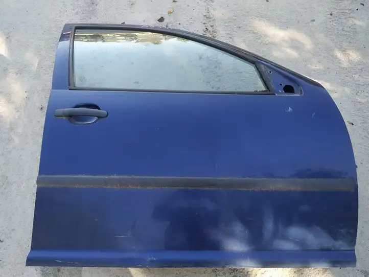Volkswagen Golf IV (1998 - 2005) Дверь — фото 1