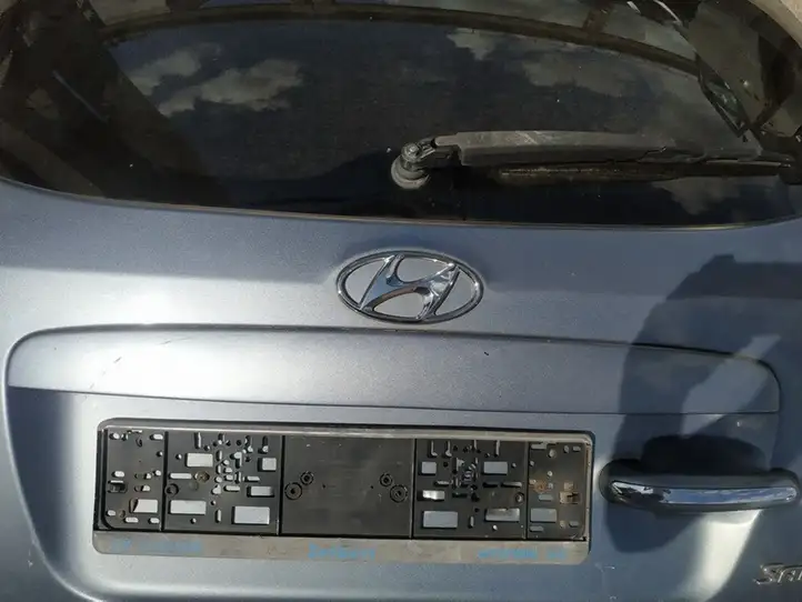 Hyundai Santa Fe (2005 - 2009) Подсветка номера — фото 1