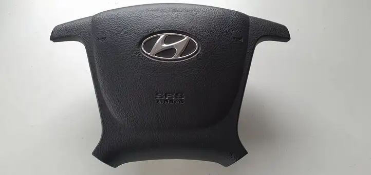 Hyundai Santa Fe (2009 - 2012) Подушка безопасности руля — фото 1