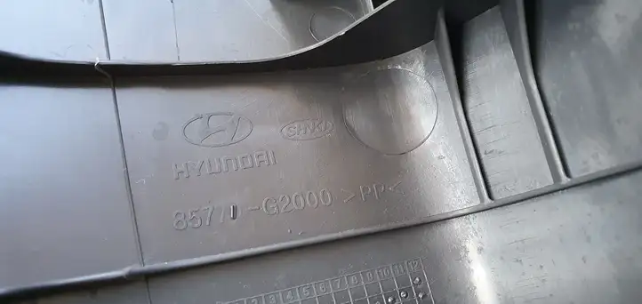 Hyundai Ioniq (2016 - ) Отделка замка — фото 7