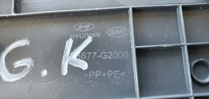 Hyundai Ioniq (2016 - ) Внутренняя отделка заднего порога — фото 3