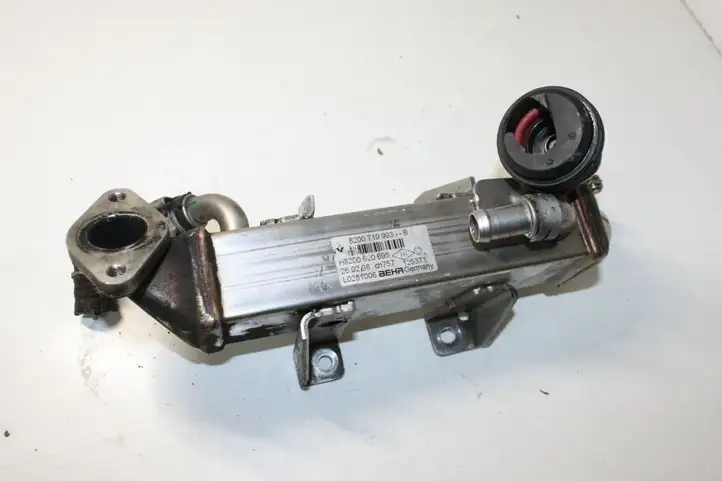 Nissan Qashqai (2006 - 2010) 8200719993 Охладитель клапана EGR — фото 3