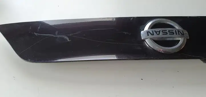 Nissan Qashqai (2013 - 2017) Подсветка номера — фото 8