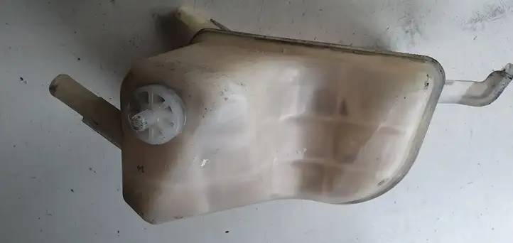 Toyota Prius (XW30) (2009 - 2015) Расширительный бачок — фото 3