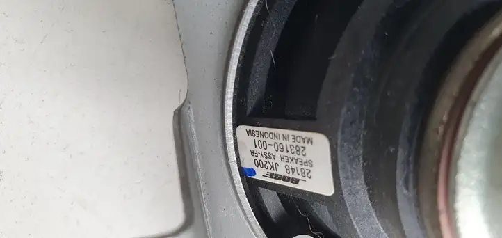 Nissan Murano Z51 (2009 - 2016) Твитер задних дверей — фото 5