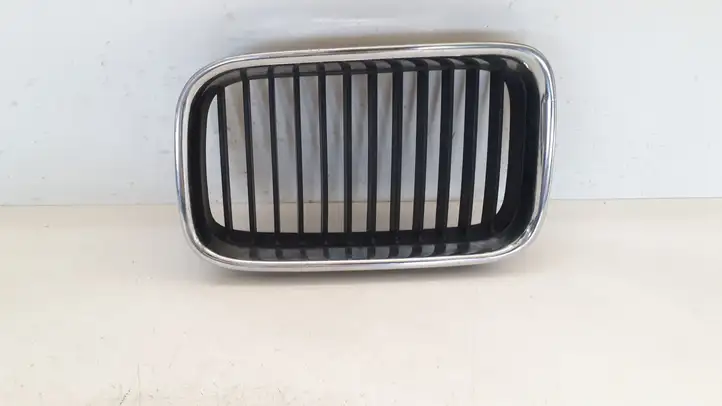 BMW 3 E46 (1998 - 2005) 51138122237 Верхняя решетка радиатора — фото 1