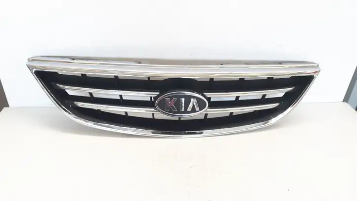 Kia Carens I (2002 - 2006) Верхняя решетка радиатора — фото 1