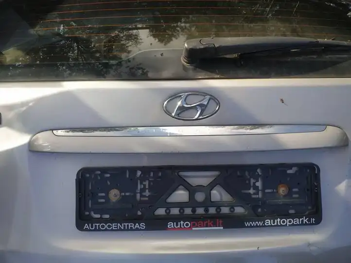 Hyundai i30 (2007 - 2012) Подсветка номера — фото 1