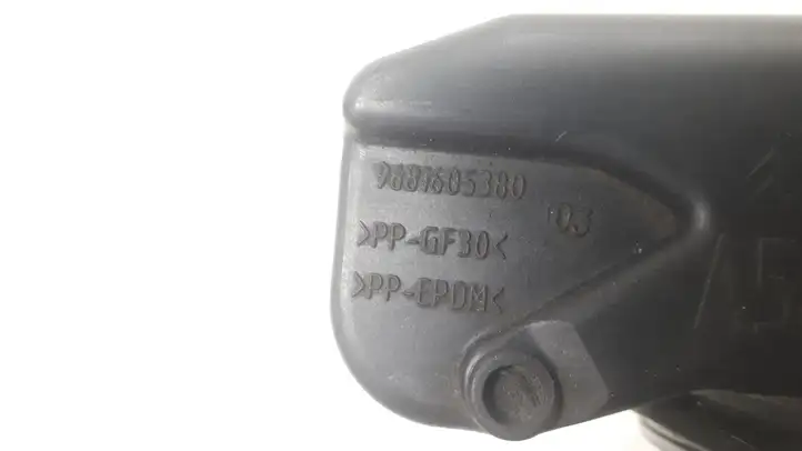Citroen C3 Picasso (2010 - 2017) 9681605380 Крышка топливного бака — фото 2