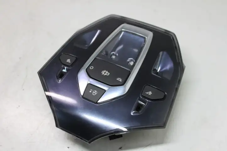 Citroen DS5 (2011 - 2018) 96702429XT Передняя подсветка — фото 3