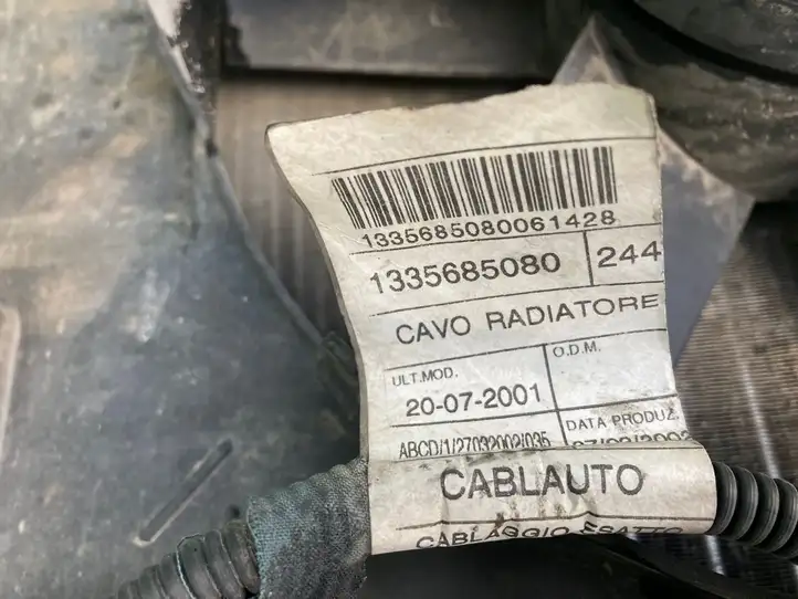 Fiat Ducato (2002 - 2006) 1364128080 Радиатор охлаждающей жидкости двигателя — фото 4