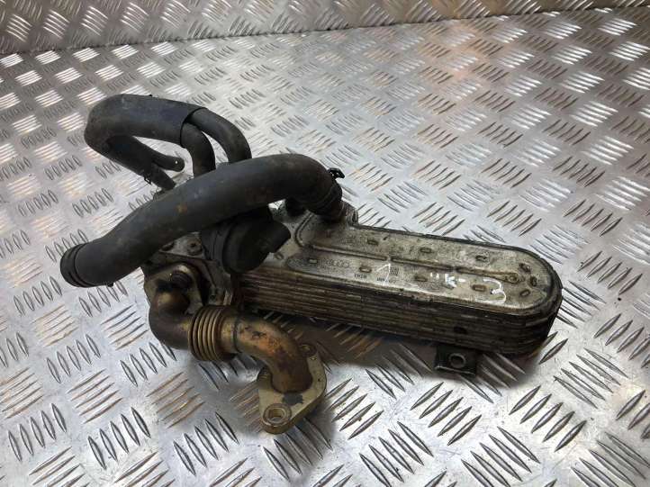 Volkswagen Golf V (2003 - 2009)  03G131513J Охладитель EGR