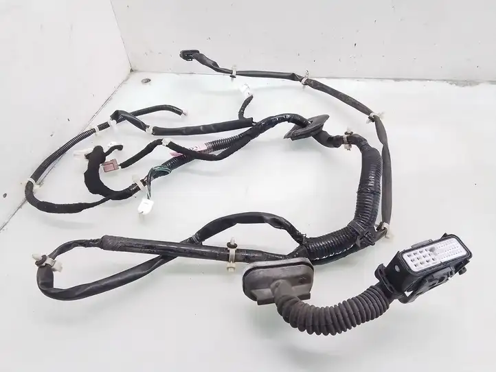 Nissan Murano Z50 (2002 - 2008) 56632200064D1 Проводка передней двери — фото 1