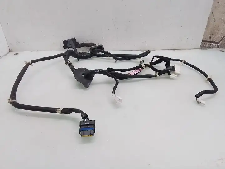 Nissan Murano Z50 (2002 - 2008) 56632200064D1 Проводка передней двери — фото 2