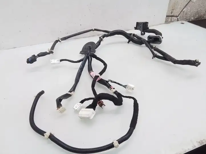 Nissan Murano Z50 (2002 - 2008) 56632200064D1 Проводка передней двери — фото 3
