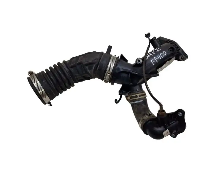 Nissan Juke I F15 (2010 - 2018) 165765493R Трубка подачи воздуха — фото 1