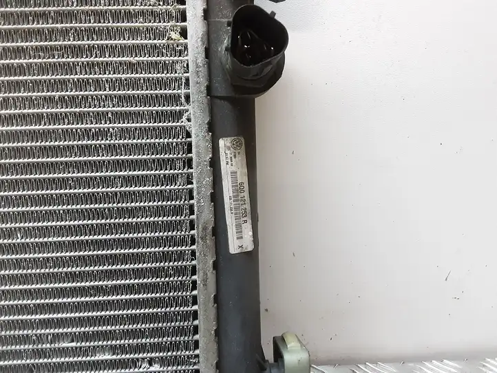 Seat Ibiza III (6L) (2002 - 2008) 6Q0121253R Радиатор охлаждающей жидкости двигателя — фото 3