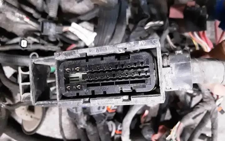 Nissan Primera (2001 - 2008) 2401001Q6G Прочая электропроводка — фото 2
