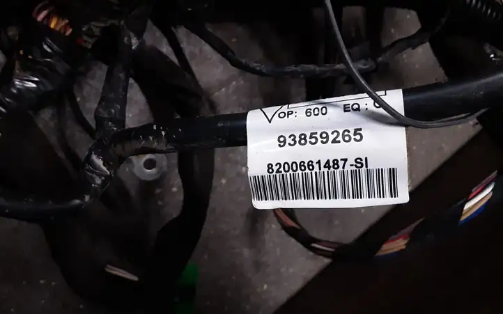 Nissan Primera (2001 - 2008) 2401001Q6G Прочая электропроводка — фото 7