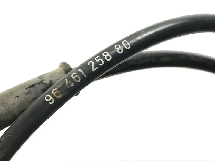 Citroen C4 (2004 - 2008) 9646125880 Проводка заднего датчика ABS — фото 3