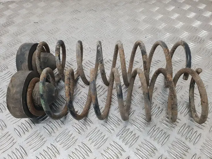 (1997 - 2005) Пружина задней подвески — фото 3