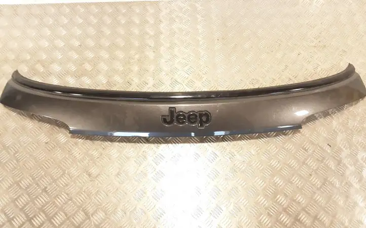 Jeep Compass (2017 - ) Подсветка номера — фото 1