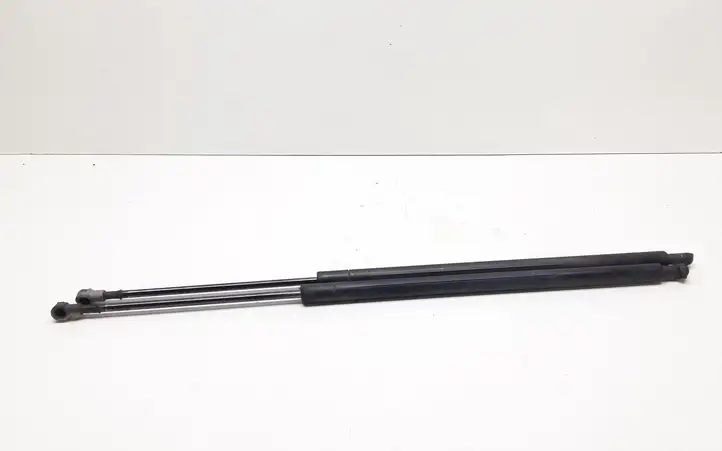 BMW X3 E83 (2003 - 2010) 51243400379 Амортизатор крышки багажника — фото 4