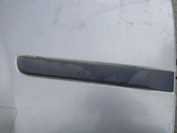 Nissan X-Trail T30 (2001 - 2007) Молдинги задней двери — фото 2