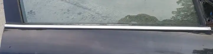 Hyundai Sonata (2003 - 2007) Накладка стекла передней двери — фото 1