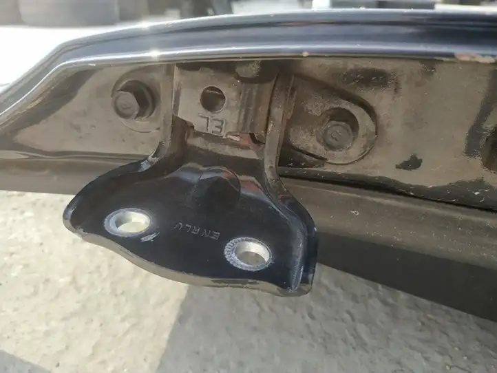 Hyundai ix 55 (2006 - 2012) Нижняя петля задней двери — фото 2