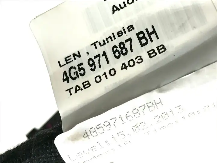 Audi A6 C7 (2011 - 2014) 4G5971687BH Проводка задней двери — фото 3