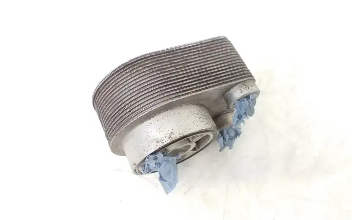 Nissan Qashqai (2006 - 2010) 8200267937F Кронштейн масляного фильтра — фото 2