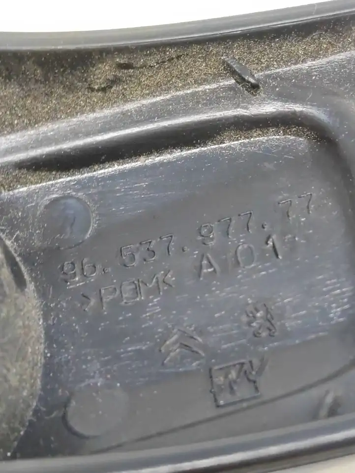 Peugeot 207 (2006 - 2009) 9653797777 Ручка стеклоподъемника — фото 2