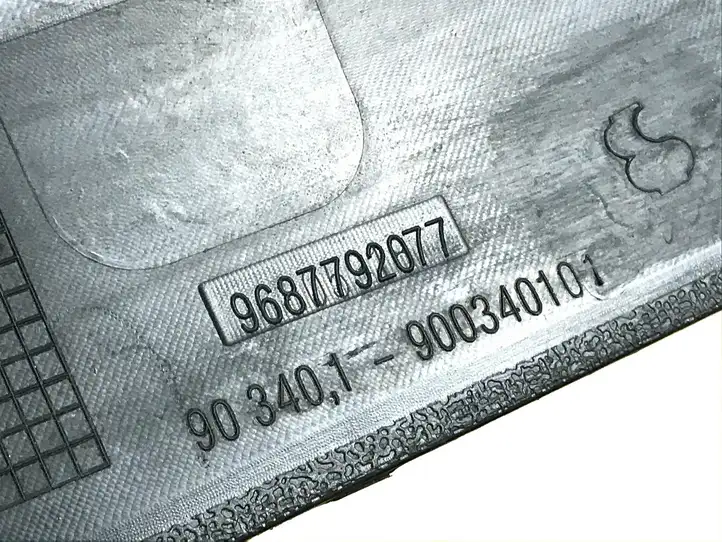 Citroen C4 I Picasso (2006 - 2013) 9687792077 Жабо стеклоочистителей — фото 3
