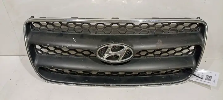 Hyundai Santa Fe (2005 - 2009) E865612B000 Верхняя решетка радиатора — фото 1